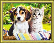 Щенок с большими ушами и котёнок