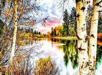 Озеро в березовой роще