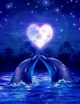 Влюбленные дельфины в ночи