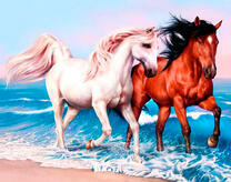 Прогулка лошадей по берегу моря