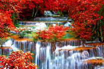 Каскадный водопад в лиственном лесу