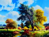 Сильный осенний ветер на лугу