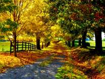 Проселочная дорога в деревеньке