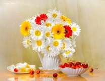Букет ромашек с герберами и вишни