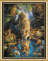 Большой серый волк у ручейка