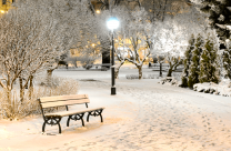 Снег в вечернем парке