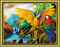 Два ара в райском уголке у водопада