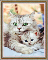 Зеленоглазая мама и голубоглазый котёнок