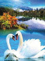 Два лебедя на зеркальной глади озера