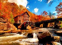 Мельница на реке в золотистом лесу