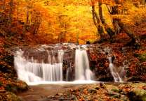 Небольшой водопад в осеннем лесу