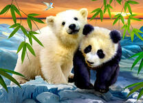 Медвежата на снегу