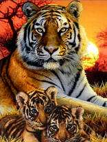 Тигрица с тигрятами на фоне заходящего солнца