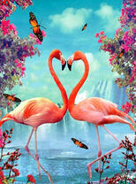 Влюблённые фламинго у водопада