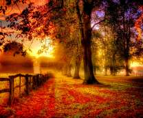 Осенний закат в деревне