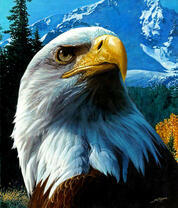 Гордый орлан на фоне гор