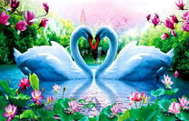 Лебеди милуются на цветущем озере