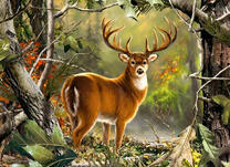 Олень с ветвистыми рогами в лесу