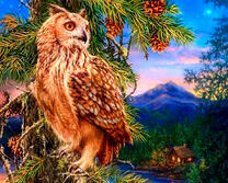 Сова в летнем лесу