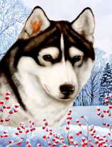 Хаски на фоне зимней равнины