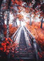 Осенняя лестница