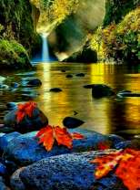 Золотые воды осенней реки