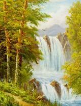 Красивый водопад в сосновом лесу