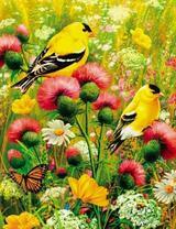 Желтые птички и бабочки в полевых цветах