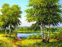 Берёзки на берегу озера