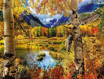 Озеро и лес в осенних горах