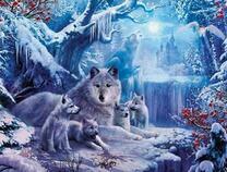 Волчица с малышами возле замерзшей реки