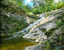 Спуск реки по камням в лесу