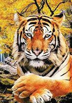 Мудрый тигр в осеннем лесу