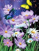 Пара бабочек и цветы под звездным небом