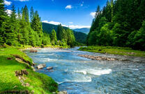 Брод на лесной реке