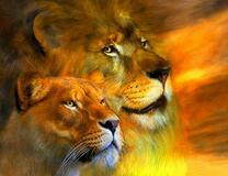 Лев и львица