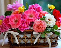 Корзинка с букетом ярких чайных роз