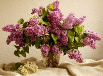 Фиолетовая сирень в вазе и две веточки белой сирени