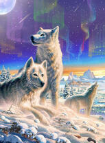 Белые волки на снегу под северным сиянием