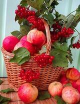 Корзина с калиной и яблоками