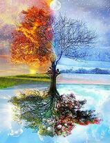 Дерево всех сезонов