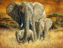 Семья большого слона