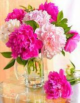 Букетик ярких пионов в бокале