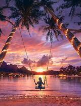 Романтической пейзаж под пальмами