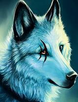 Белый волк со шрамом