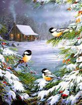 Синички на заснеженной ели у дома