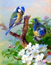 Красивые птички на цветущей яблоне