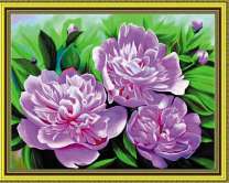 Куст фиолетовых пионов