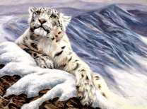 Снежный барс на скале