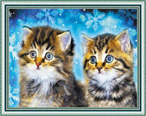 Пара удивлённых котят зимой